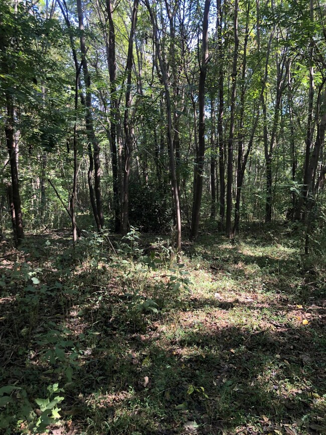 72 Saddle Ridge Dr, Siler City, NC 27344 - photo 5