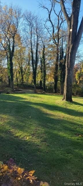 158 Maple Hill Rd, Huntington, NY 11743 - photo 2