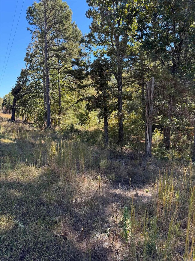 3526 Blaney Hill Rd, Conway, AR 72032 - photo 2