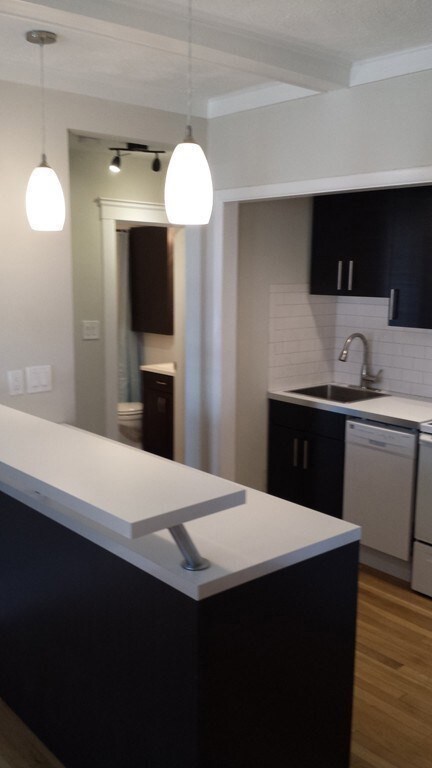 100 Lanark Rd unit 1, Brighton, MA 02135 - photo 4