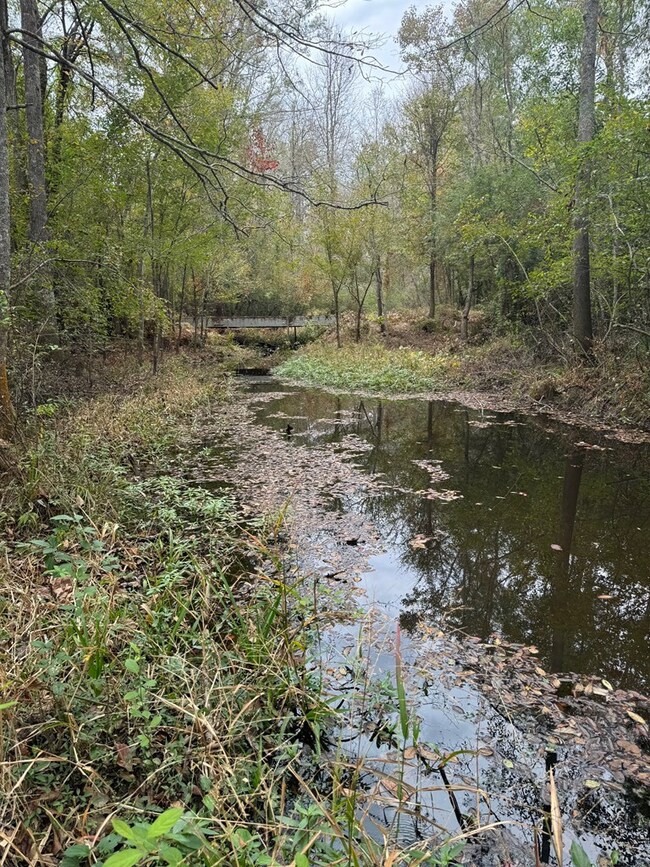 unlisted-address, Osyka, MS 39656 - photo 5
