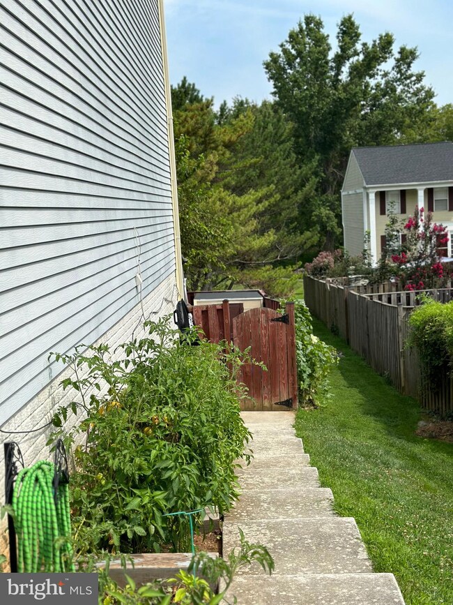 3229 Saint Augustine Ct, Olney, MD 20832 - photo 2