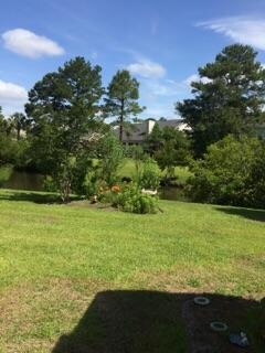 Pond View