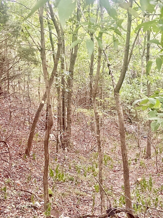 2053 Greene 624 Rd, Paragould, AR 72450 - photo 2