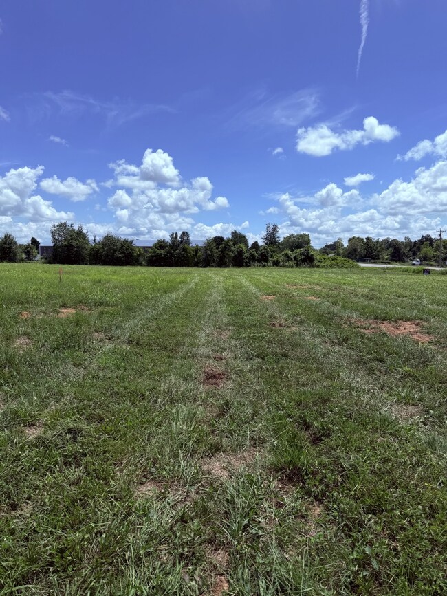 0 Nashville Hwy unit RTC2988524, Chapel Hill, TN 37034 - photo 2