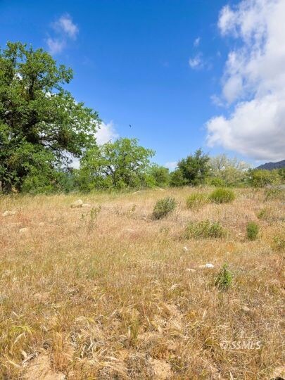 349-127-14, Bodfish, CA 93205 - photo 5