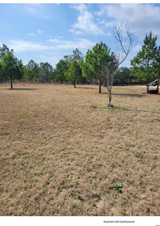 5300 Pebble Ln, Conway, SC 29526 - photo 3