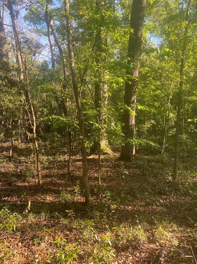 Lot #6 SE 203rd Ave, Old Town, FL 32680 - photo 3