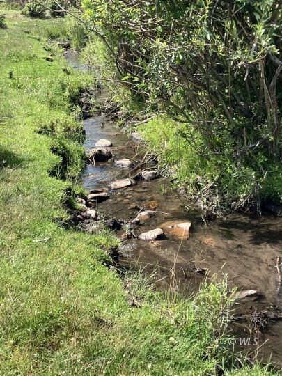 565 / 365 Marcy Ave, Westcliffe, CO 81252 - photo 2