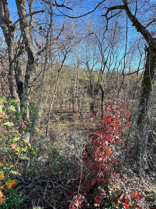 001-08378-001 Highway 62 W, Pyatt, AR 72672 - photo 6