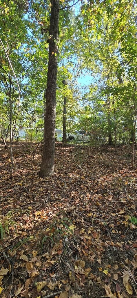 PIDN 13737 Lake Circle Dr, Broaddus, TX 75929 - photo 7