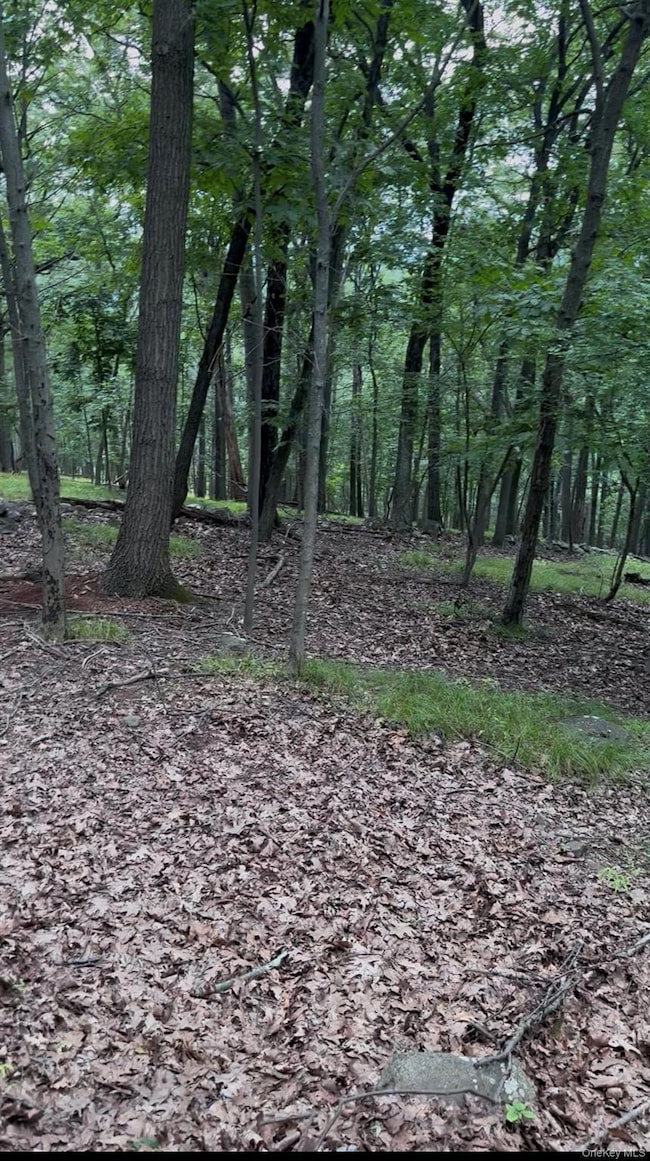 660 Route 9w, Valley Cottage, NY 10989 - photo 7