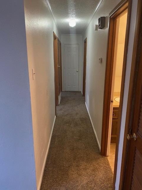 4816 66th St unit B, Lubbock, TX 79414 - photo 5