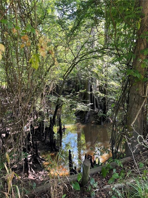 0 Highway 107 None, Morrow, LA 71356 - photo 5