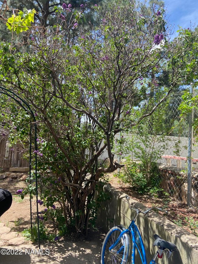 Side yard