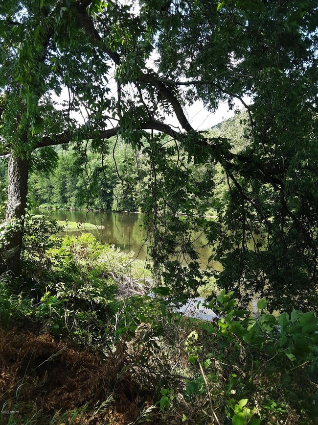 Creek view