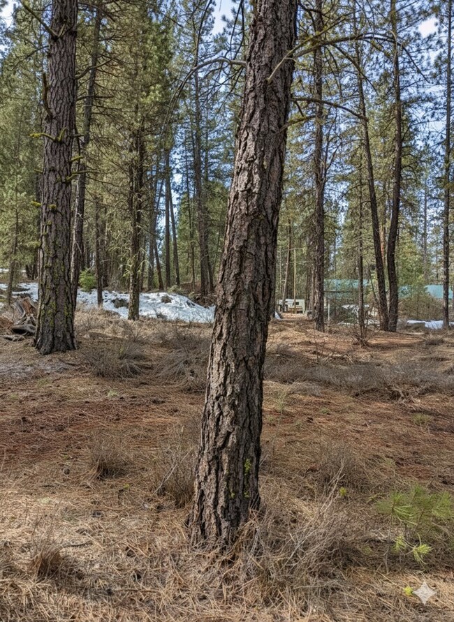 14/15 View Dr unit 14 & 15, Centerville, ID 83631 - photo 7