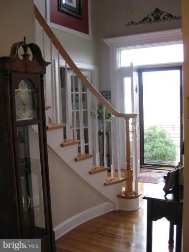 163 Widener Dr, Winchester, VA 22603 - photo 4