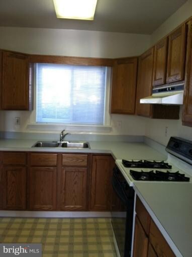 1608 Mount Eagle Place unit 967-16, Alexandria, VA 22302 - photo 4