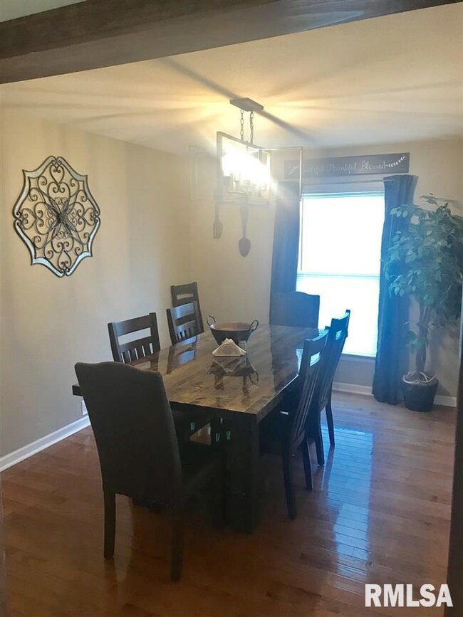 1488 Vasey Ln, Jacksonville, IL 62650 - photo 6