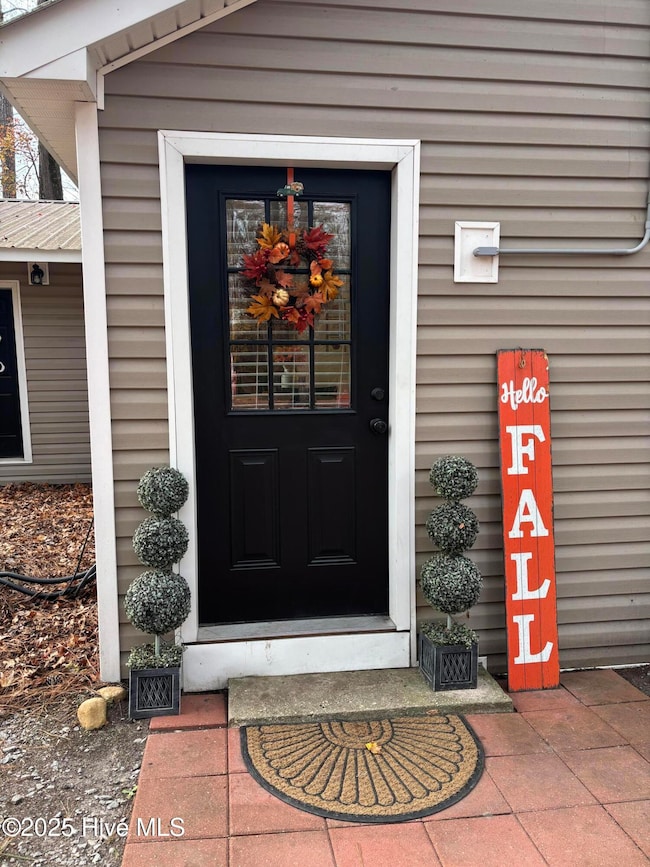 390 Phillips Hill Rd, Conway, NC 27820 - photo 4