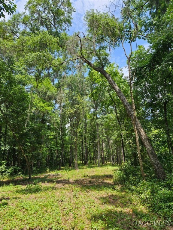0 NW 83rd Court Rd unit 850146, Ocala, FL 34482 - photo 4