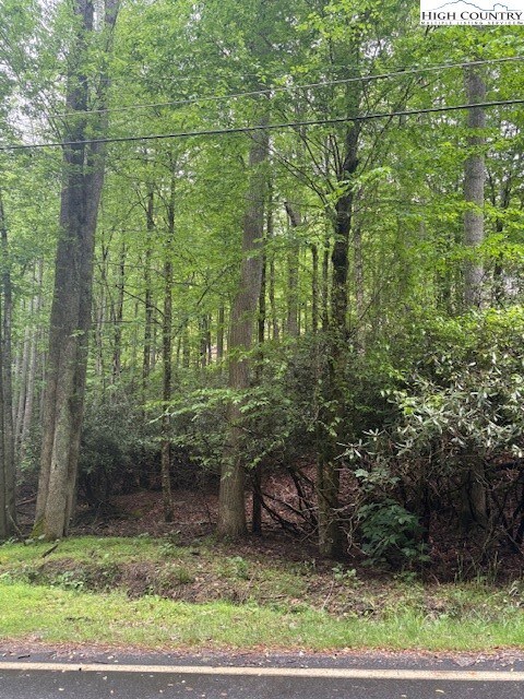 522 St Andrews Rd, Beech Mountain, NC 28604 - photo 6