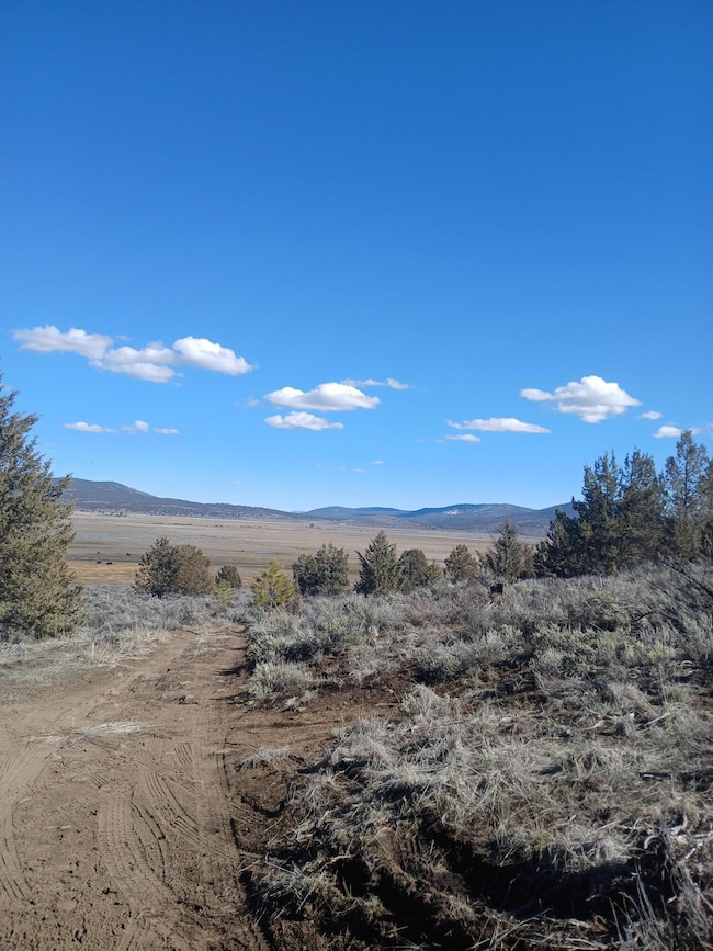 0 Drews Rd unit 220198278, Beatty, OR 97621 - photo 2