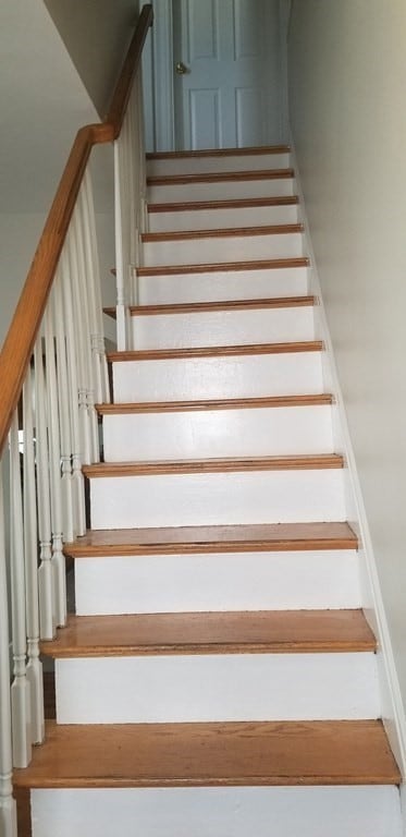 19 Leroy St, Dorchester, MA 02122 - photo 5