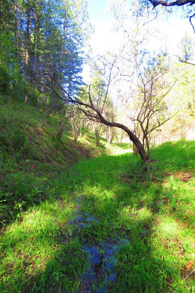 26 Owen Baldwin Pkwy unit Parcel H4, Trinidad, CO 81082 - photo 3