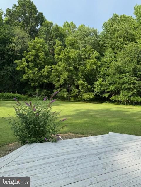 1410 Stepney Rd, Annapolis, MD 21409 - photo 6