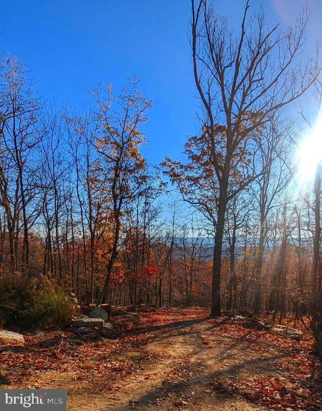 0 Parkside Dr unit WVMO2005316, Berkeley Springs, WV 25411 - photo 3