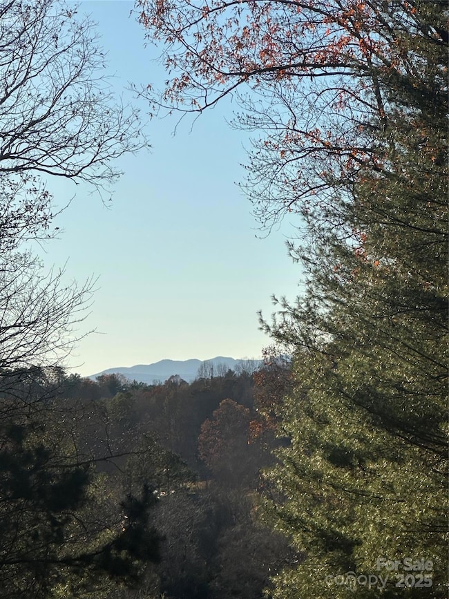 2830 Nix Creek Rd, Marion, NC 28752 - photo 2