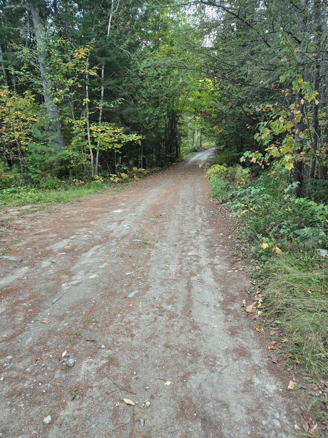 1058 Red Brook Rd, Groton, VT 05046 - photo 5