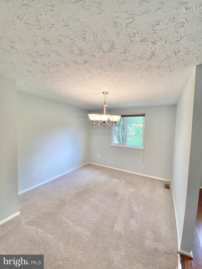 6808 Hutchison St, Falls Church, VA 22043 - photo 7