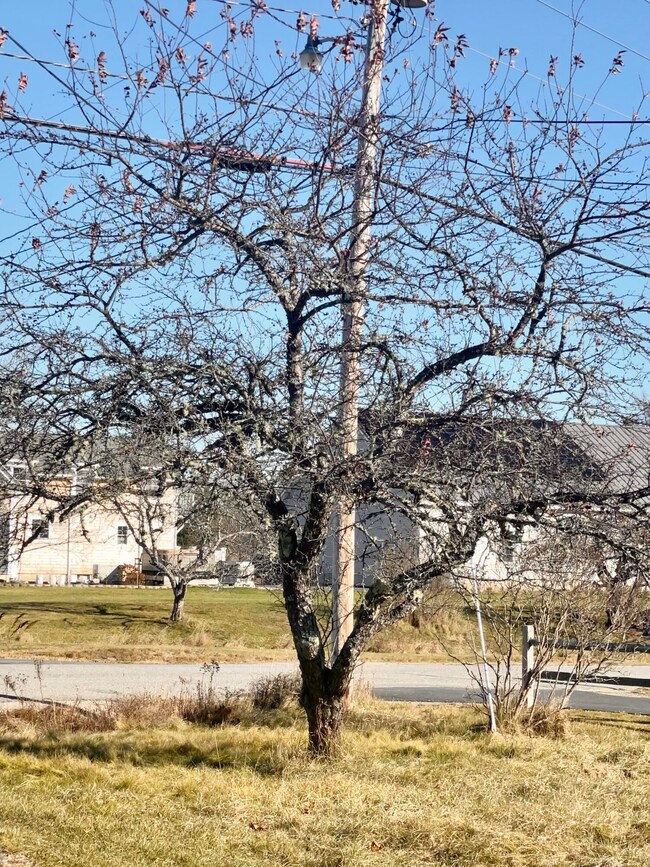 69 Mill St, Harrington, ME 04643 - photo 6