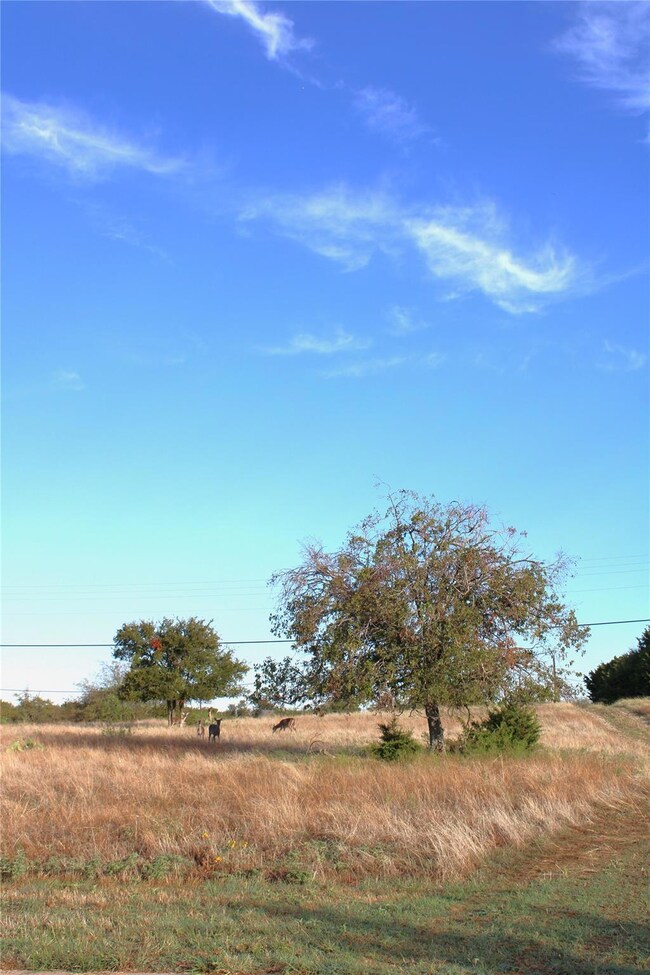 42206 Bay Hill Dr, Whitney, TX 76692 - photo 6