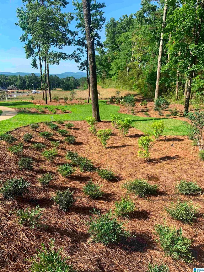 0 Village Cir unit 1-45 1306913, Anniston, AL 36207 - photo 5