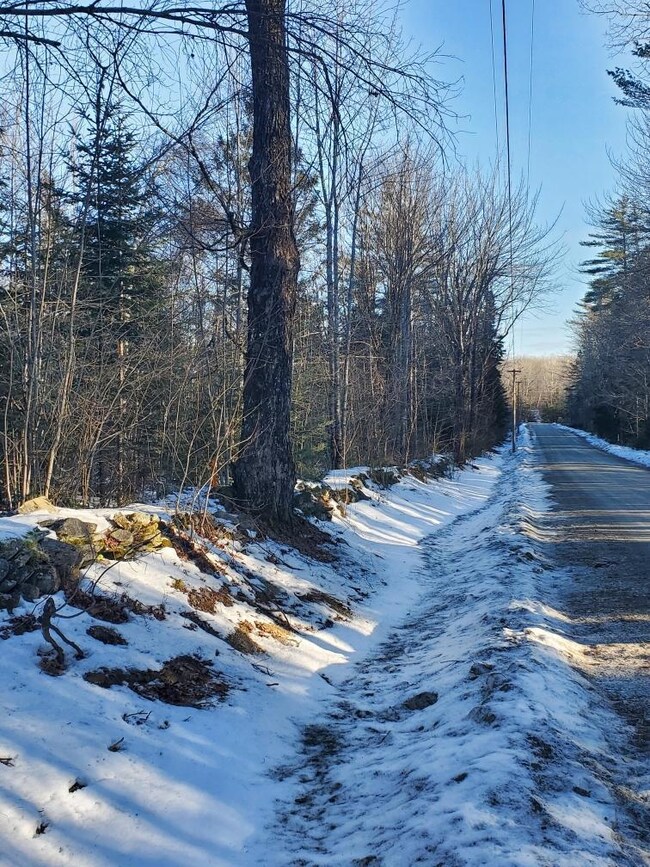 0 Ramsdell Ridge Rd unit 1611976, Milo, ME 04463 - photo 7