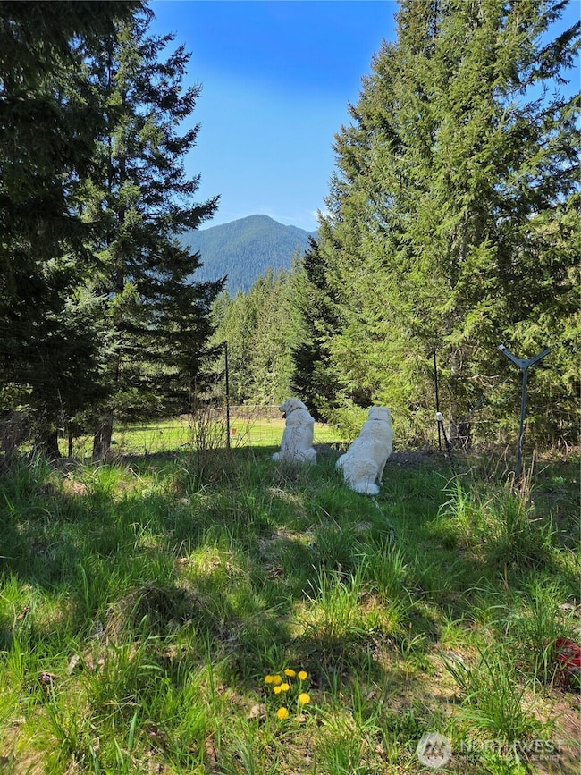 unlisted-address, Brinnon, WA 98320 - photo 3