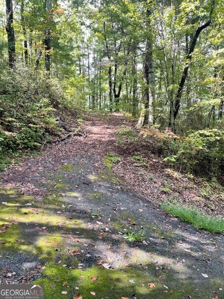 0 Sequoia Hills Ln unit 10613618, Clayton, GA 30525 - photo 6