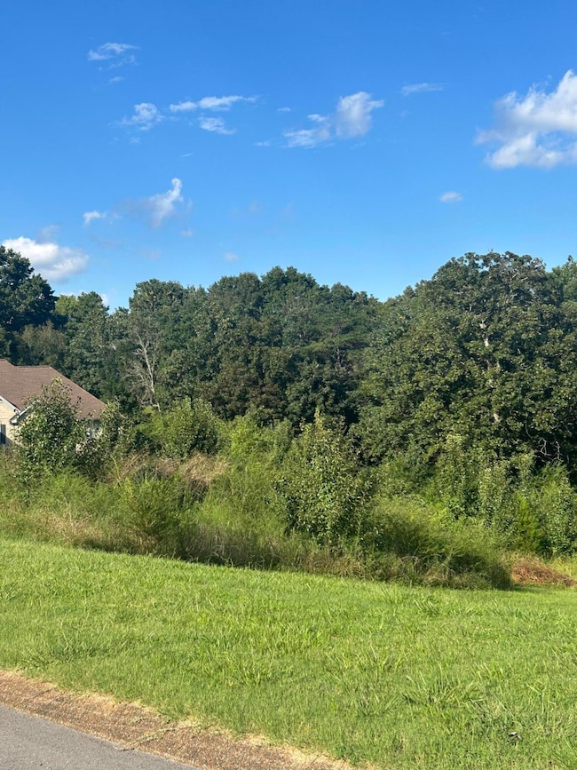 9606 Shadow Bend Cir, Chattanooga, TN 37421 - photo 4