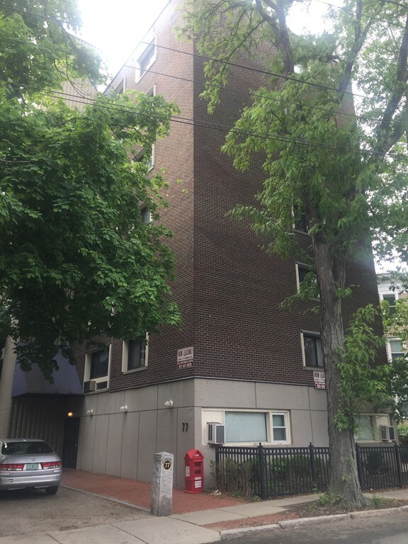 77 Trowbridge St unit 41, Cambridge, MA 02138 - photo 6