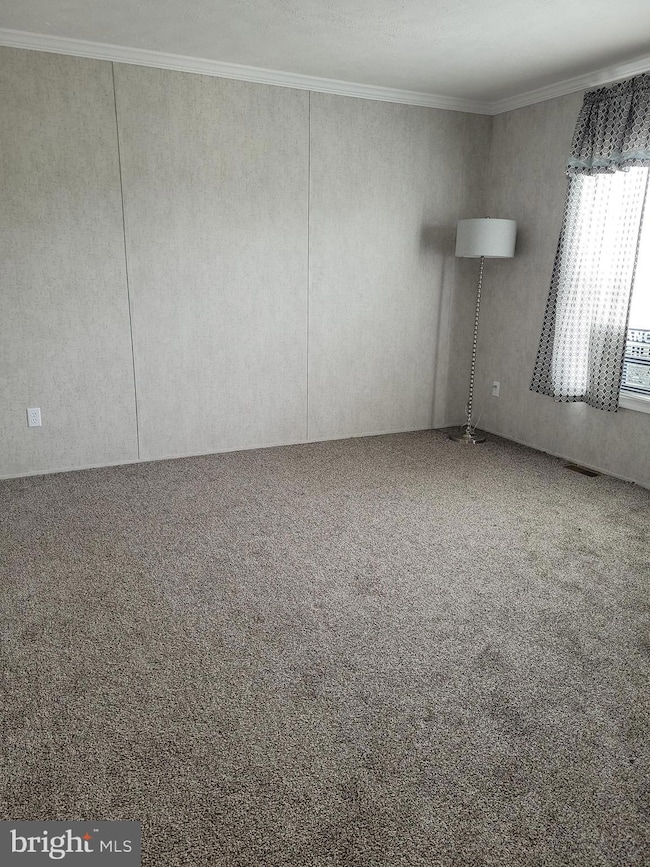 300 Hostetter Blvd, Middletown, DE 19709 - photo 6