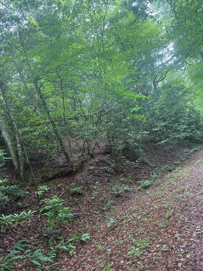 0 Willow Pond Rd unit 26041420, Franklin, NC 28734 - photo 3