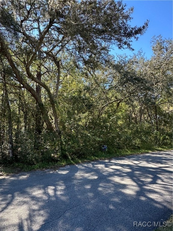 3076 E Lloyd St, Inverness Highlands North, FL 34453 - photo 3