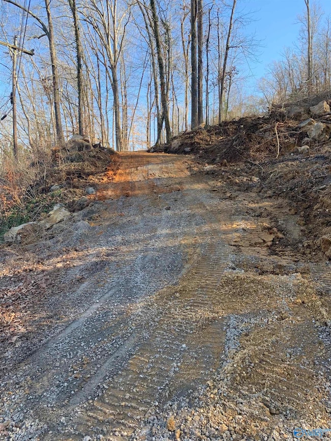 LOT 22 Snug Harbor Rd, Grant, AL 35747 - photo 4