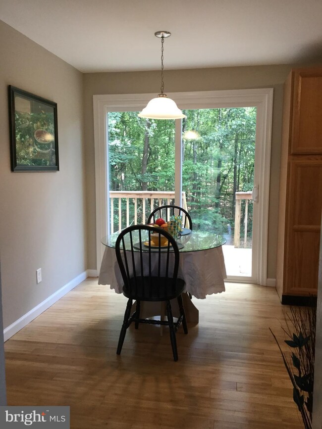 9304 General Winder Rd, Rapidan, VA 22733 - photo 6