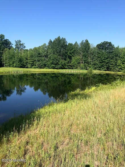 0 E 72nd St, Chase, MI 49623 - photo 6