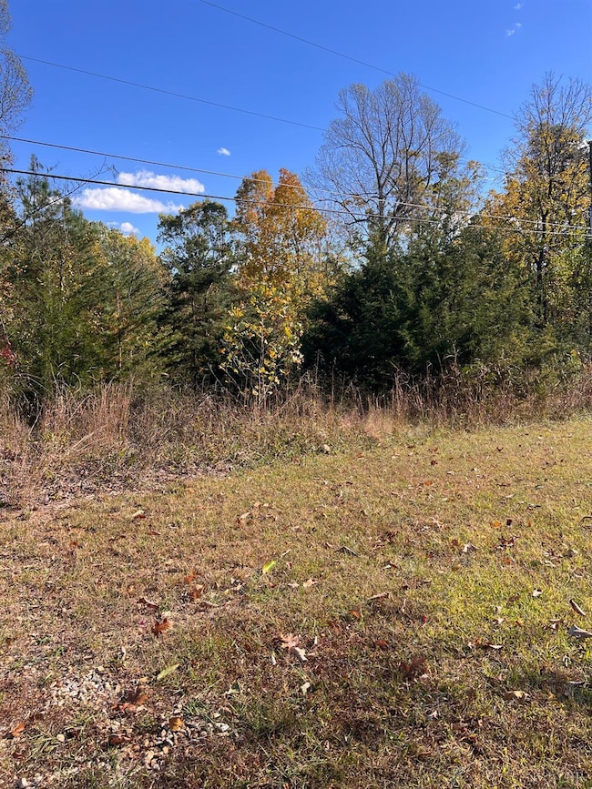 3 Eagle Rd, Amherst, VA 24521 - photo 3